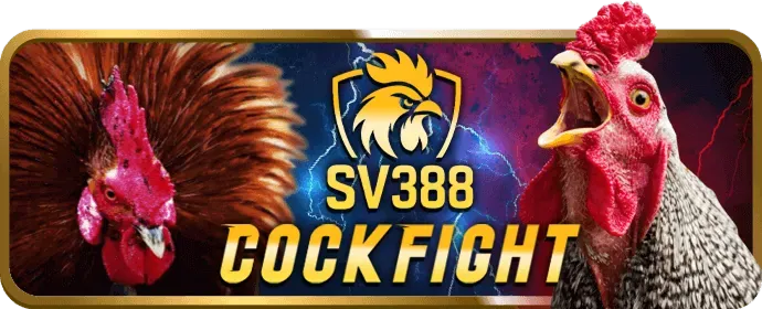 Nền tảng bảo mật 286bet nhà cái